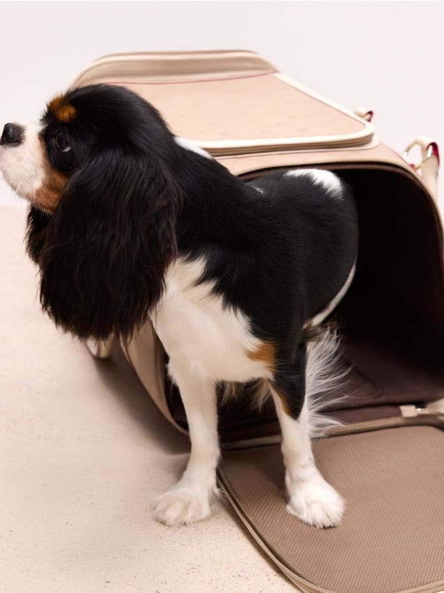 Mohito - Чанта - бежово